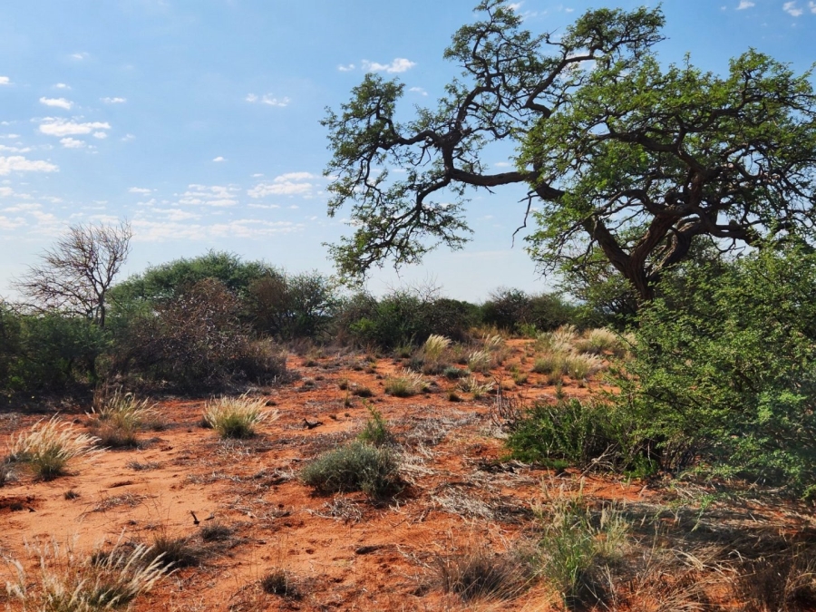 Commercial Property for Sale in Marydale Northern Cape